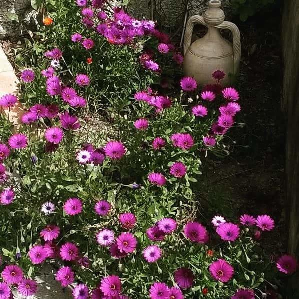Ai Tre Limoni Bed & Breakfast Varazze Bagian luar foto